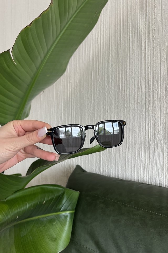 Black Thin Frame Sunglasses ATE6720 - 4