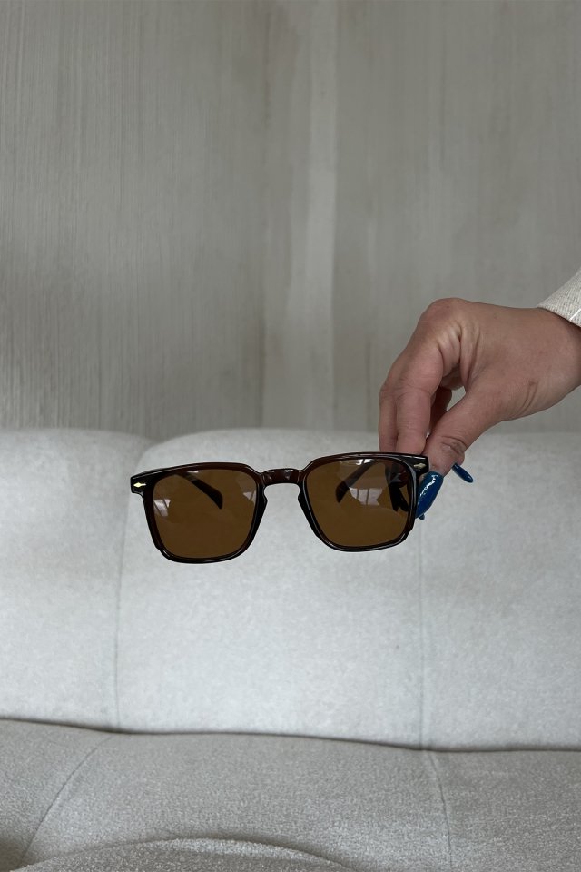 Brown Thin Frame Sunglasses ATE6724 - 4