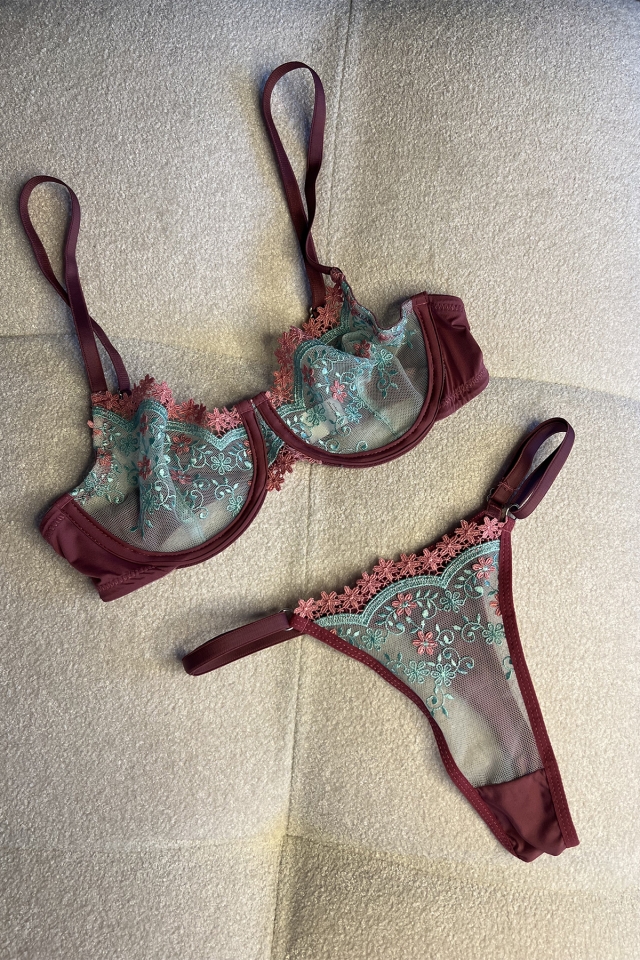 Burgundy Lace Detail Underwear ATE6857 - 1