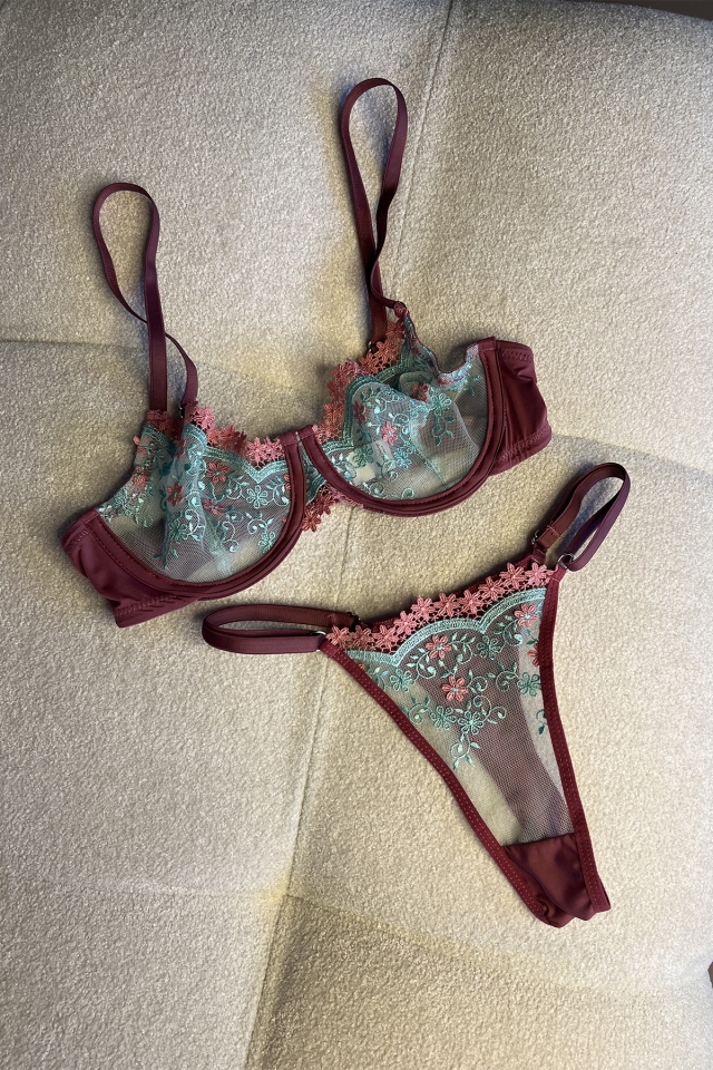 Burgundy Lace Detail Underwear ATE6857 - 3
