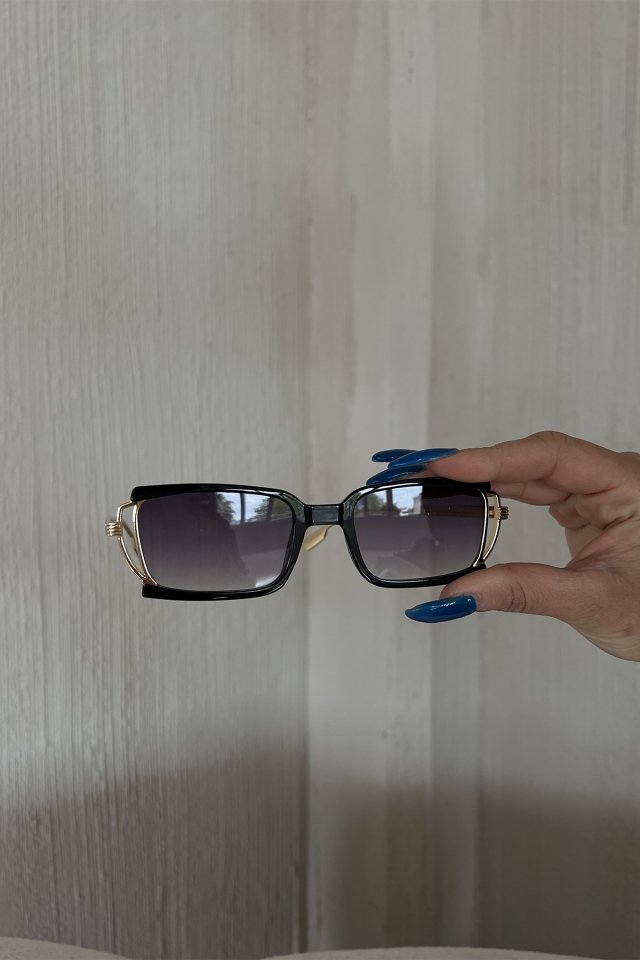 Gold Black Frame Sunglasses ATE6728 - 4