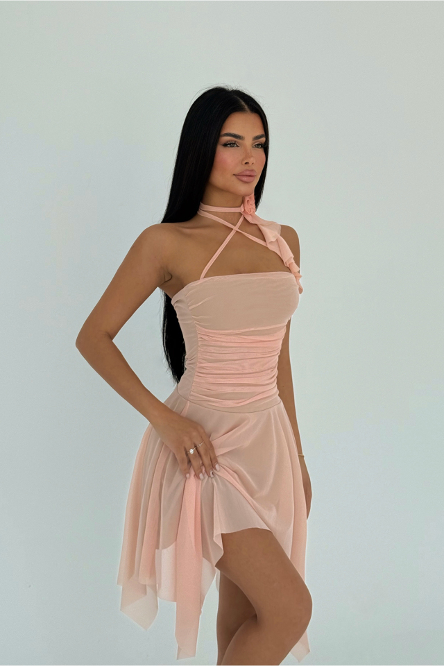 Pudra Delilah Mini Tül Elbise ATE-2401 - 2