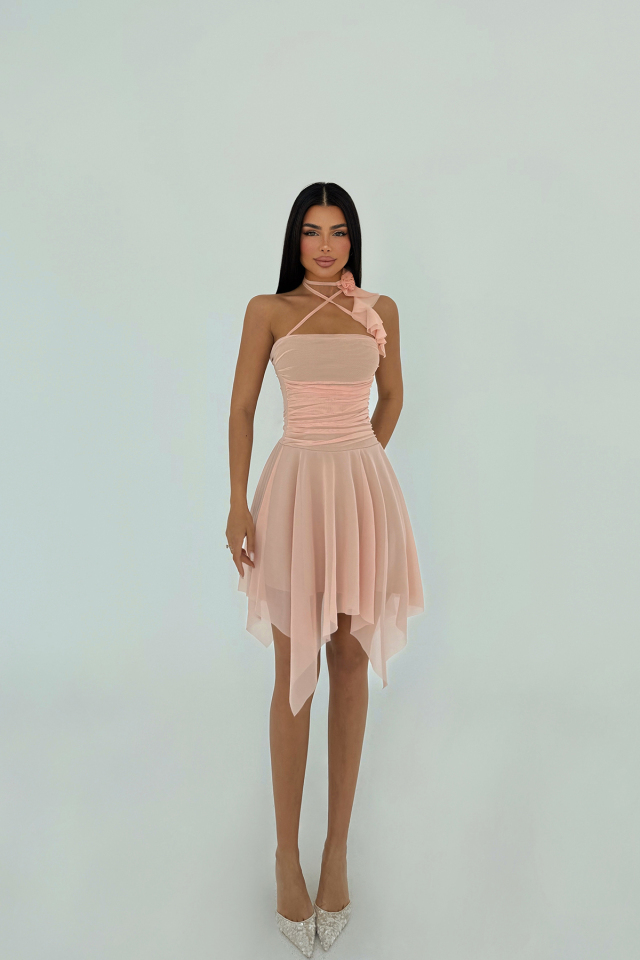 Pudra Delilah Mini Tül Elbise ATE-2401 - 1