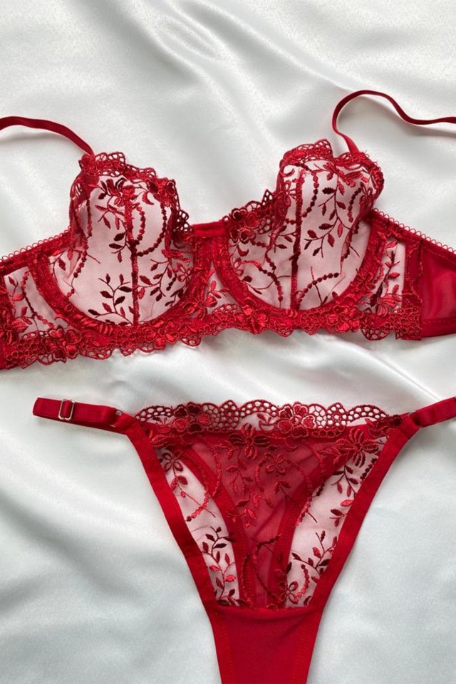 Red Lace Detail Underwear AATEL9 - 2