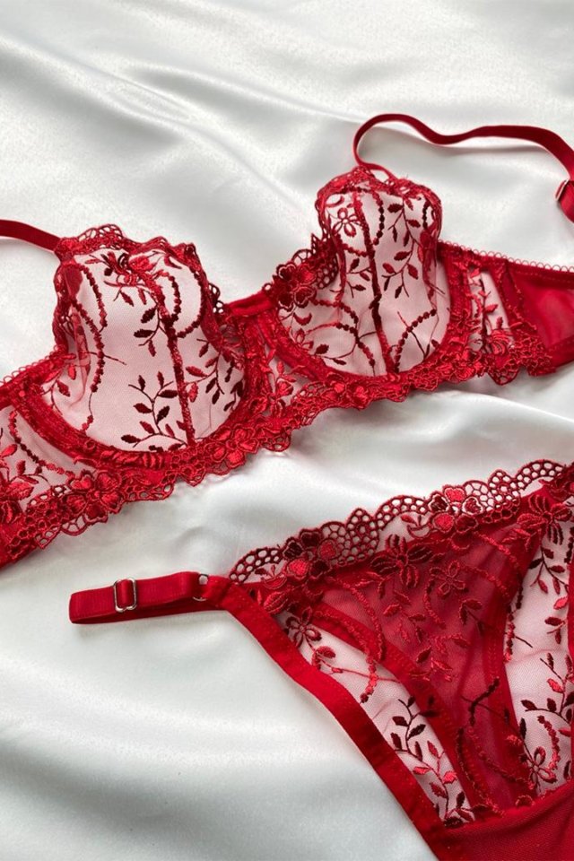 Red Lace Detail Underwear AATEL9 - 1