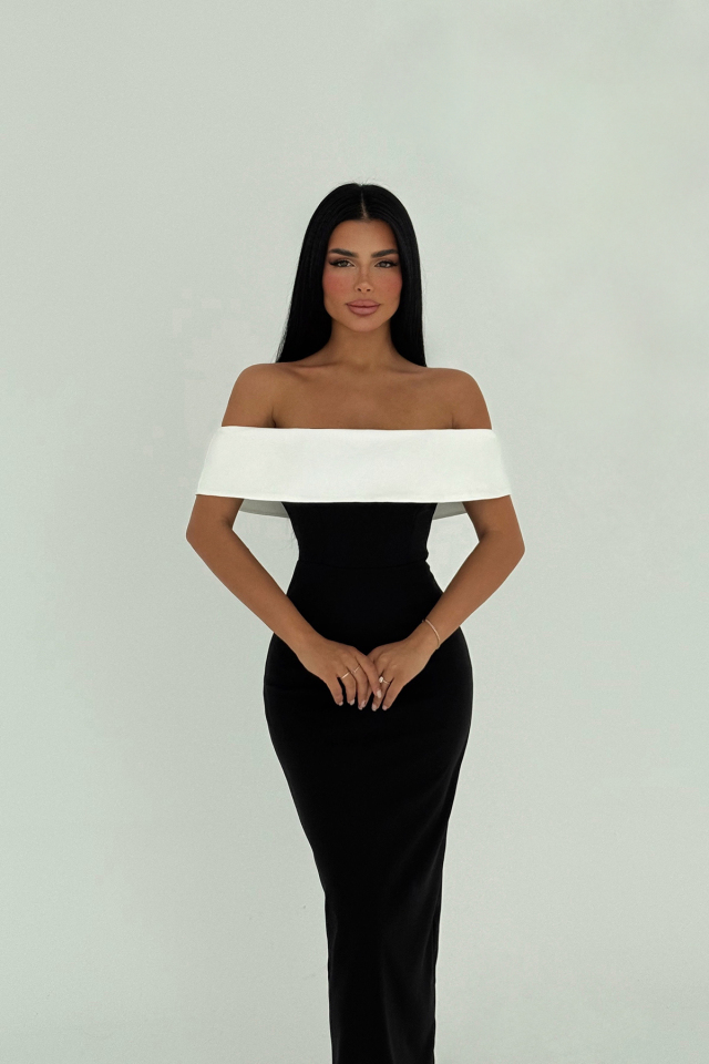 Siyah Raina Çift Renk Elbise ATE-2694 - 2